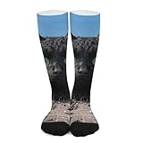 FekiLoot Athletic Socks Black Cat Giant City Crew...