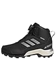 adidas Terrex Winter Mid Boa Rain.rdy Hiking Shoes,...