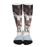 FekiLoot Skiing Squirrel Socks Hiking Boot Socks Casual...