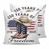 American Flag 250 Year Anniversary 24x24 Pillow Covers...