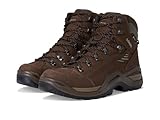 Lowa Men's Renegade EVO GTX Mid, Espresso, 10 Medium