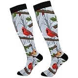 Joisal Winter Birds Compression Socks for Men Women...
