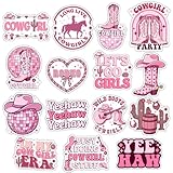 TADACEE (15pcs-3in) Cowgirl Stickers Pack Aesthetics...