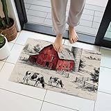 Farmhouse Front Door Mat Indoor Entrance, Pastoral...