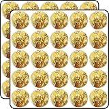 Golden Orchid Flowers on Hiking Boot Nature Floral...