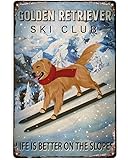 Ski Funny Retro Vintage Metal Sign Ski Club Golden...