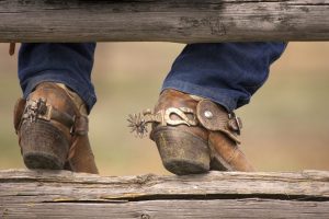 kind of cowboy boots