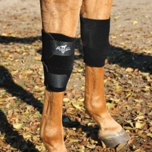 knee boots for horses